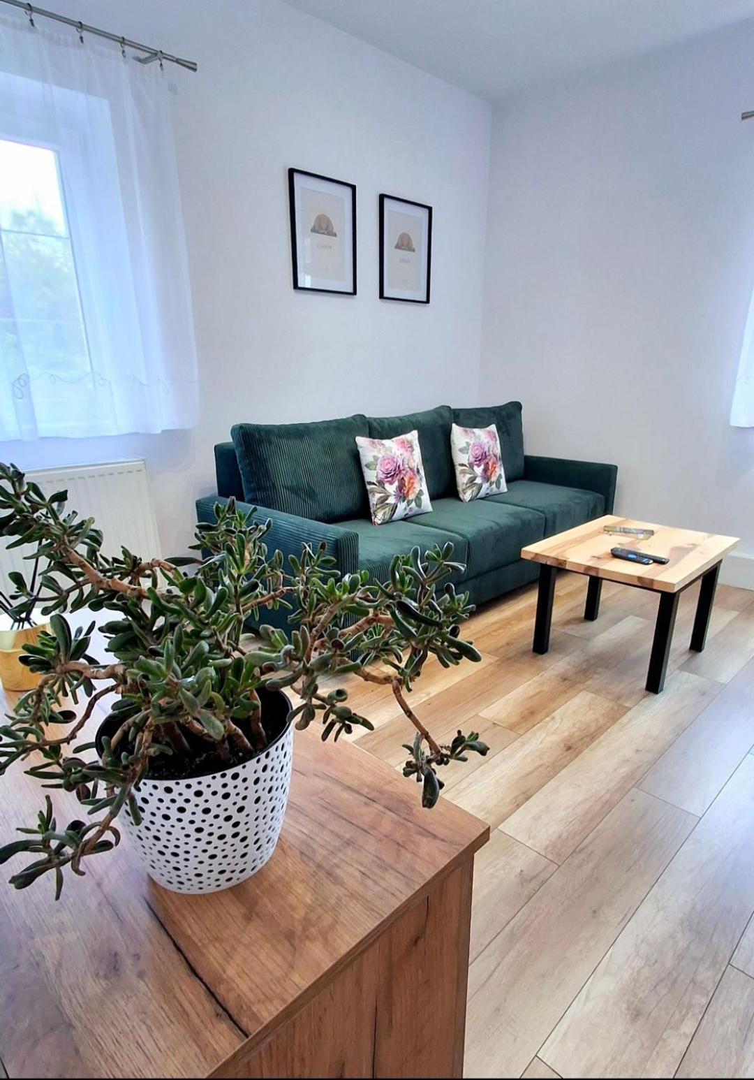 Apartament Dzika Roza Kowary Eksteriør bilde